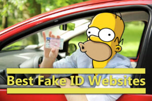 How Scannable Fake ID Can Be Your Answer Scannabledoments.com