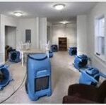 Why Professional Service Is Mandatory To Restore Carpet