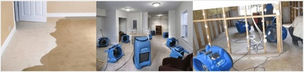 Why Professional Service Is Mandatory To Restore Carpet