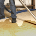 Understand Important Matters Involved In The Carpet Drying Process