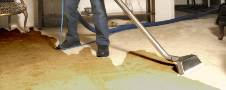 Understand Important Matters Involved In The Carpet Drying Process